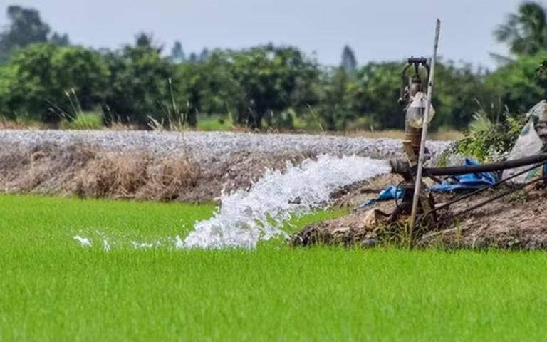 Poço Artesiano para o Agronegócio e Fazendas: Alta Vazão e Economia