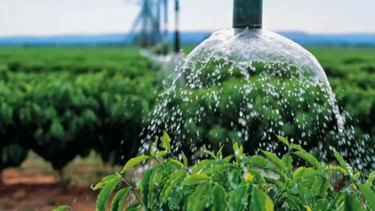 Perfuração de Poços Artesianos para o Agronegócio