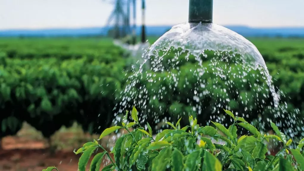 poco-artesiano-aparecida-goiania-qualidade-da-agua-na-irrigacao.webp
