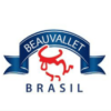 baubrasil-logo